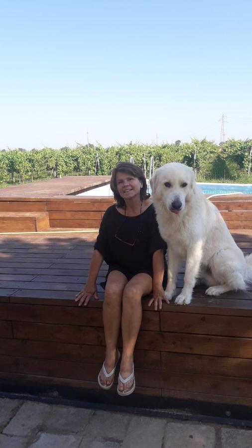 Tenuta Crescentini-Vallemura ,Appartamenti Con Entrata Indipendente San Donà di Piave Eksteriør bilde