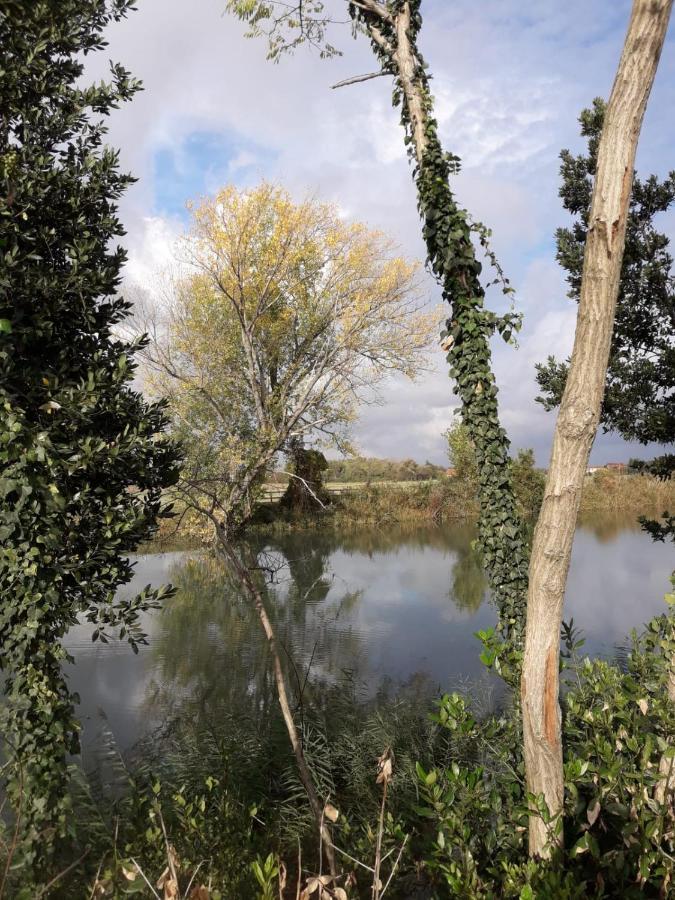Tenuta Crescentini-Vallemura ,Appartamenti Con Entrata Indipendente San Donà di Piave Eksteriør bilde