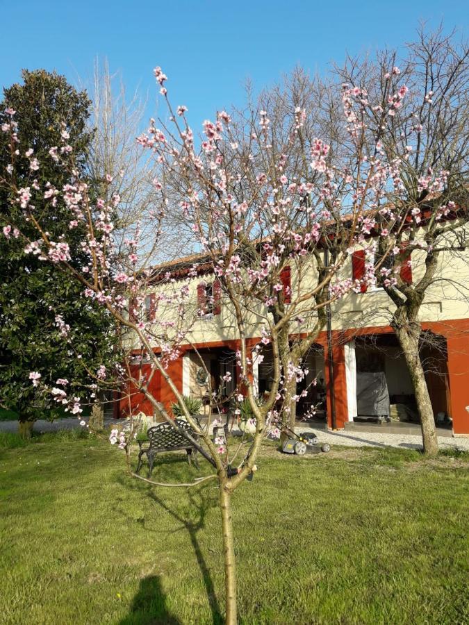 Tenuta Crescentini-Vallemura ,Appartamenti Con Entrata Indipendente San Donà di Piave Eksteriør bilde