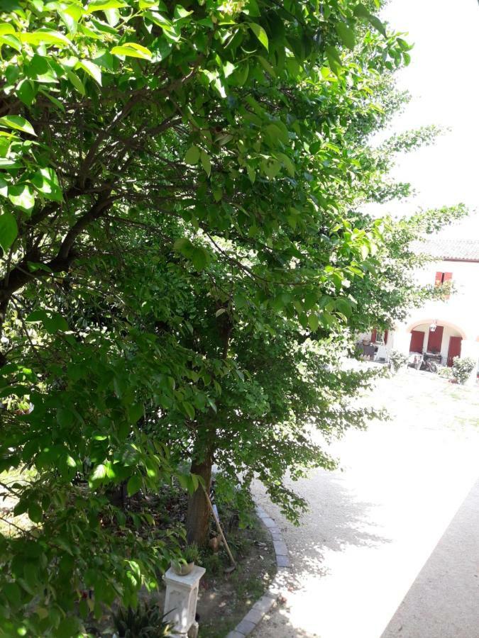 Tenuta Crescentini-Vallemura ,Appartamenti Con Entrata Indipendente San Donà di Piave Eksteriør bilde