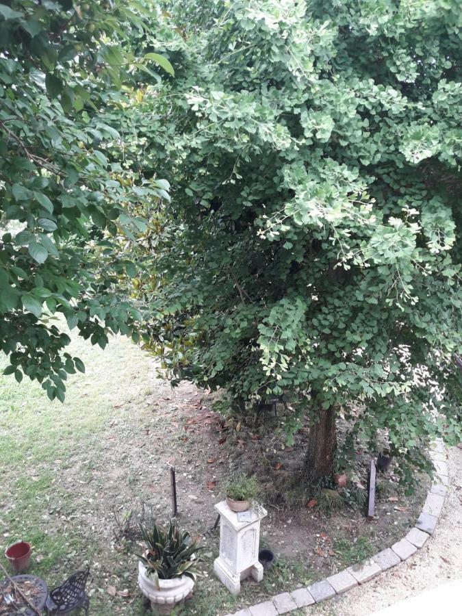 Tenuta Crescentini-Vallemura ,Appartamenti Con Entrata Indipendente San Donà di Piave Eksteriør bilde