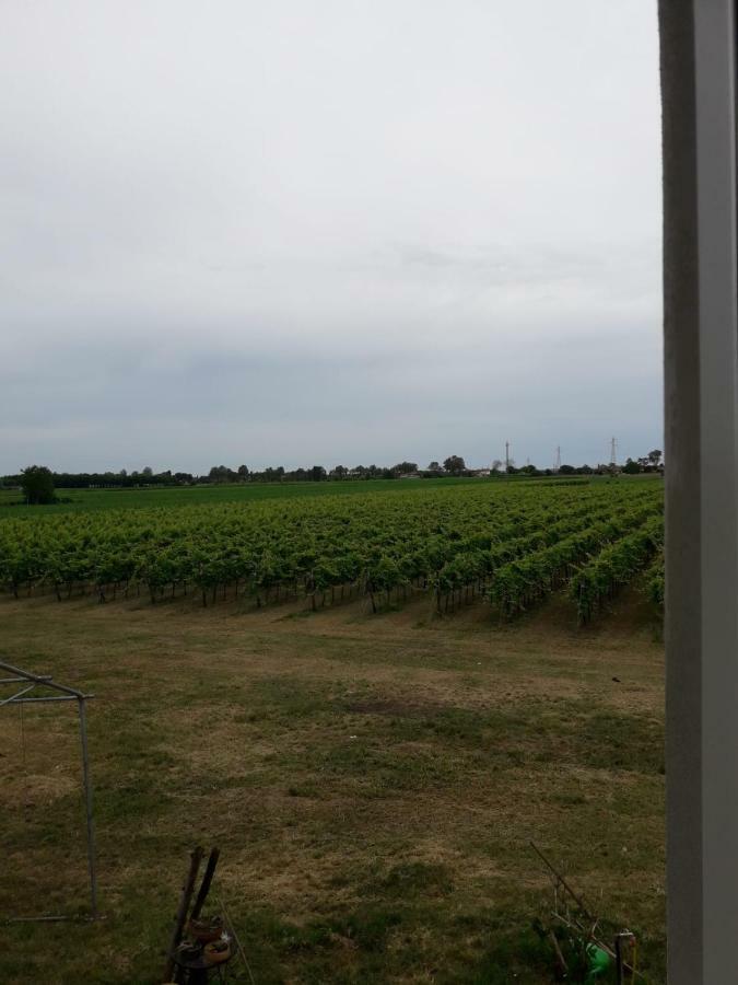 Tenuta Crescentini-Vallemura ,Appartamenti Con Entrata Indipendente San Donà di Piave Eksteriør bilde