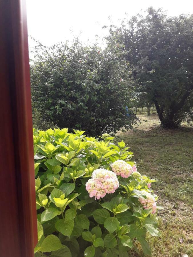 Tenuta Crescentini-Vallemura ,Appartamenti Con Entrata Indipendente San Donà di Piave Eksteriør bilde