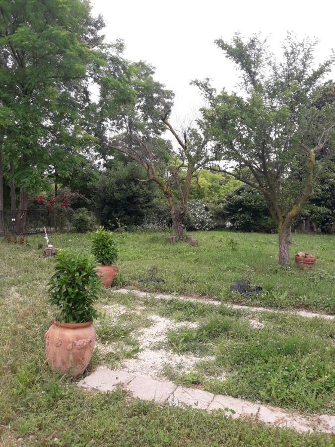 Tenuta Crescentini-Vallemura ,Appartamenti Con Entrata Indipendente San Donà di Piave Eksteriør bilde