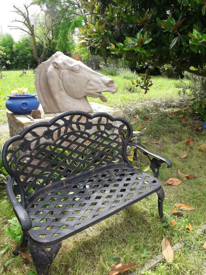 Tenuta Crescentini-Vallemura ,Appartamenti Con Entrata Indipendente San Donà di Piave Eksteriør bilde