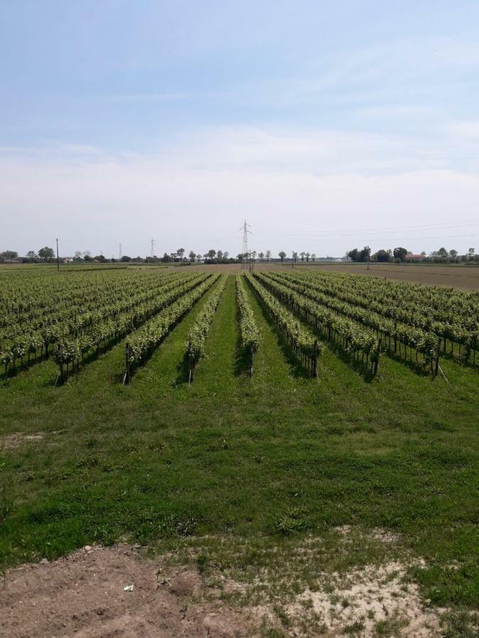 Tenuta Crescentini-Vallemura ,Appartamenti Con Entrata Indipendente San Donà di Piave Eksteriør bilde
