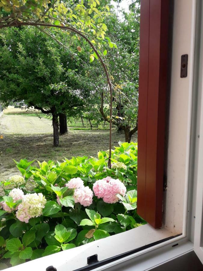 Tenuta Crescentini-Vallemura ,Appartamenti Con Entrata Indipendente San Donà di Piave Eksteriør bilde