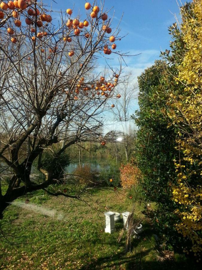 Tenuta Crescentini-Vallemura ,Appartamenti Con Entrata Indipendente San Donà di Piave Eksteriør bilde