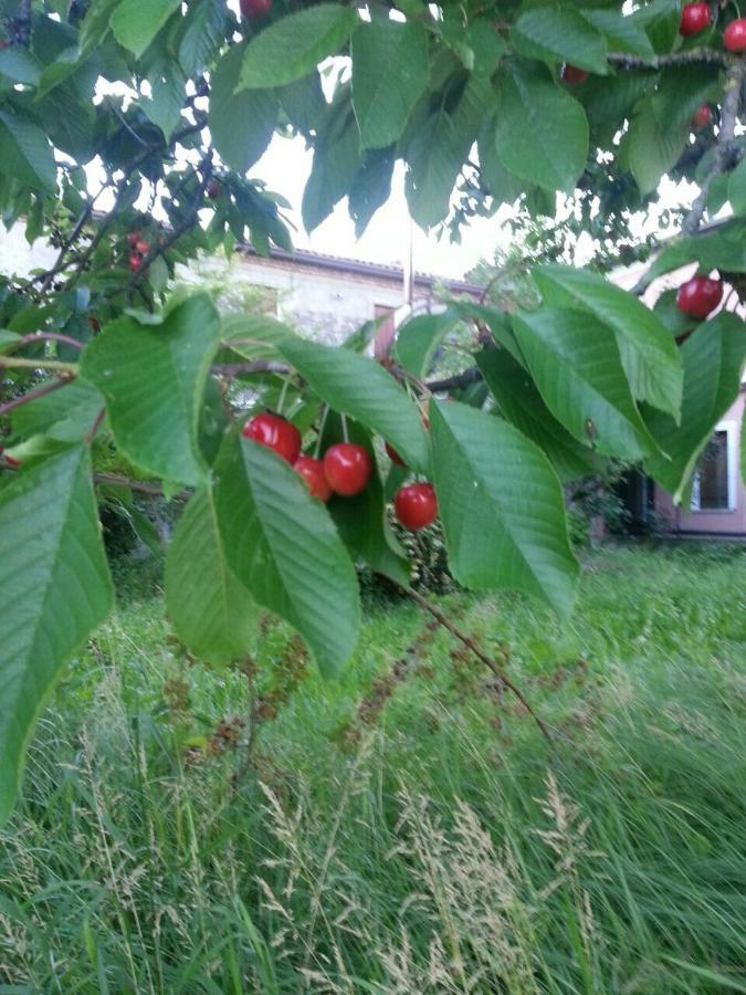 Tenuta Crescentini-Vallemura ,Appartamenti Con Entrata Indipendente San Donà di Piave Eksteriør bilde
