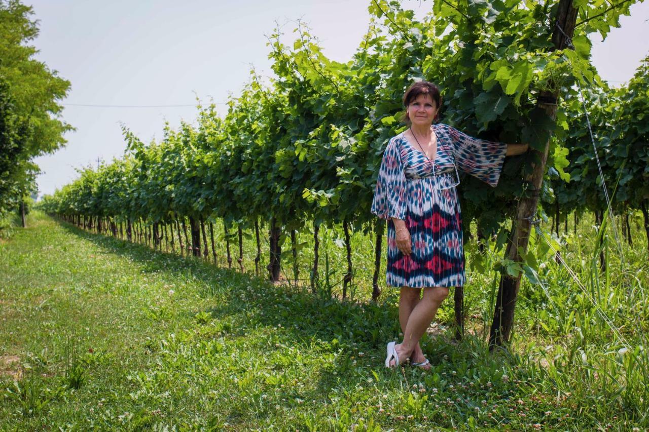 Tenuta Crescentini-Vallemura ,Appartamenti Con Entrata Indipendente San Donà di Piave Eksteriør bilde